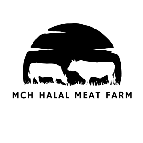 #ReliableMeatDelivery #OnlineButcherDelivery #TopOnlineMeatRetailers #MeatDeliveryAtHome #OrderFreshMeatOnline #OnlineMeatShopping #DirectToConsumerMeatDelivery #OnlineMeatOrderingService #FreshCutsDelivered #QualityMeatOnlinePurchase #HalalMeat #BuyHalalMeat #NewYorkHalalMeat #BuyOnlineMeat #OnlineMeatDelivery