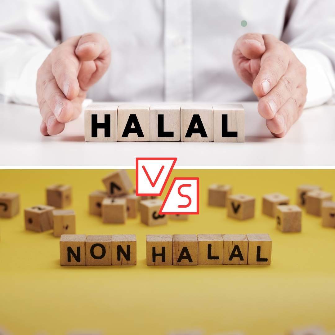 Halal Meat vs. Non-Halal Key Differences You Should Know (1)